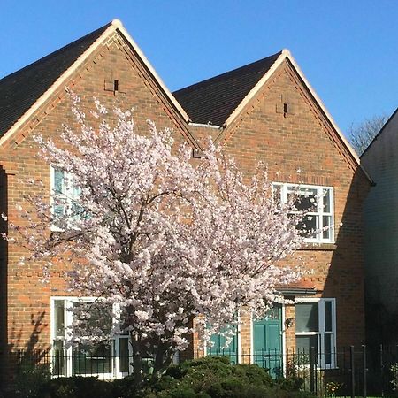 3 Summertown Court Оксфорд Екстер'єр фото